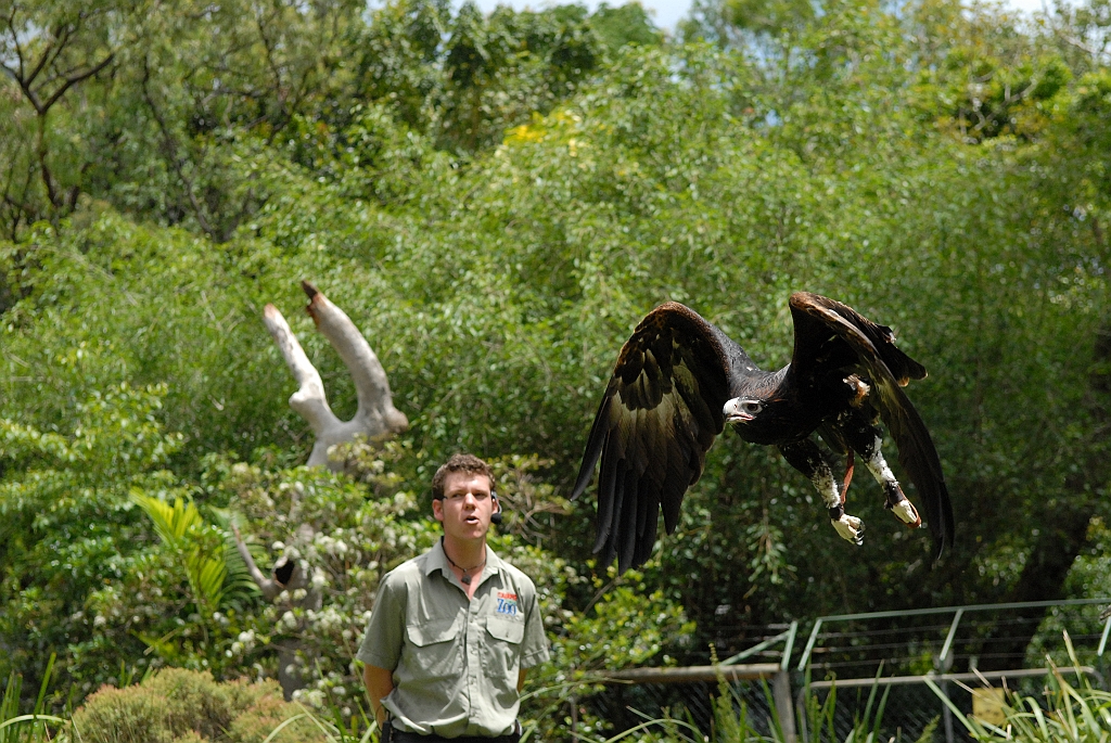 0061 Cairns Tropical Zoo.jpg